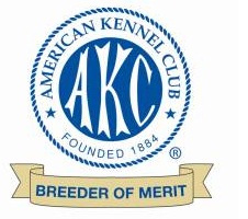AKC Breeder of Merit